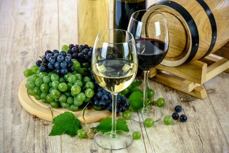 VIN BIOLOGIQUE: Qu&rsquo;est ce qu&rsquo;un vin bio?